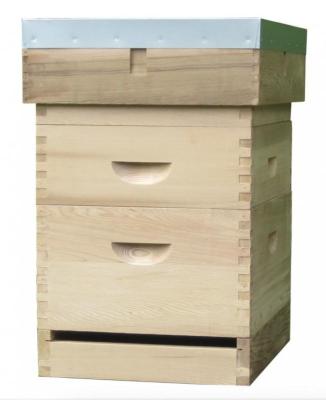 Caddon Hives Caddon Hives